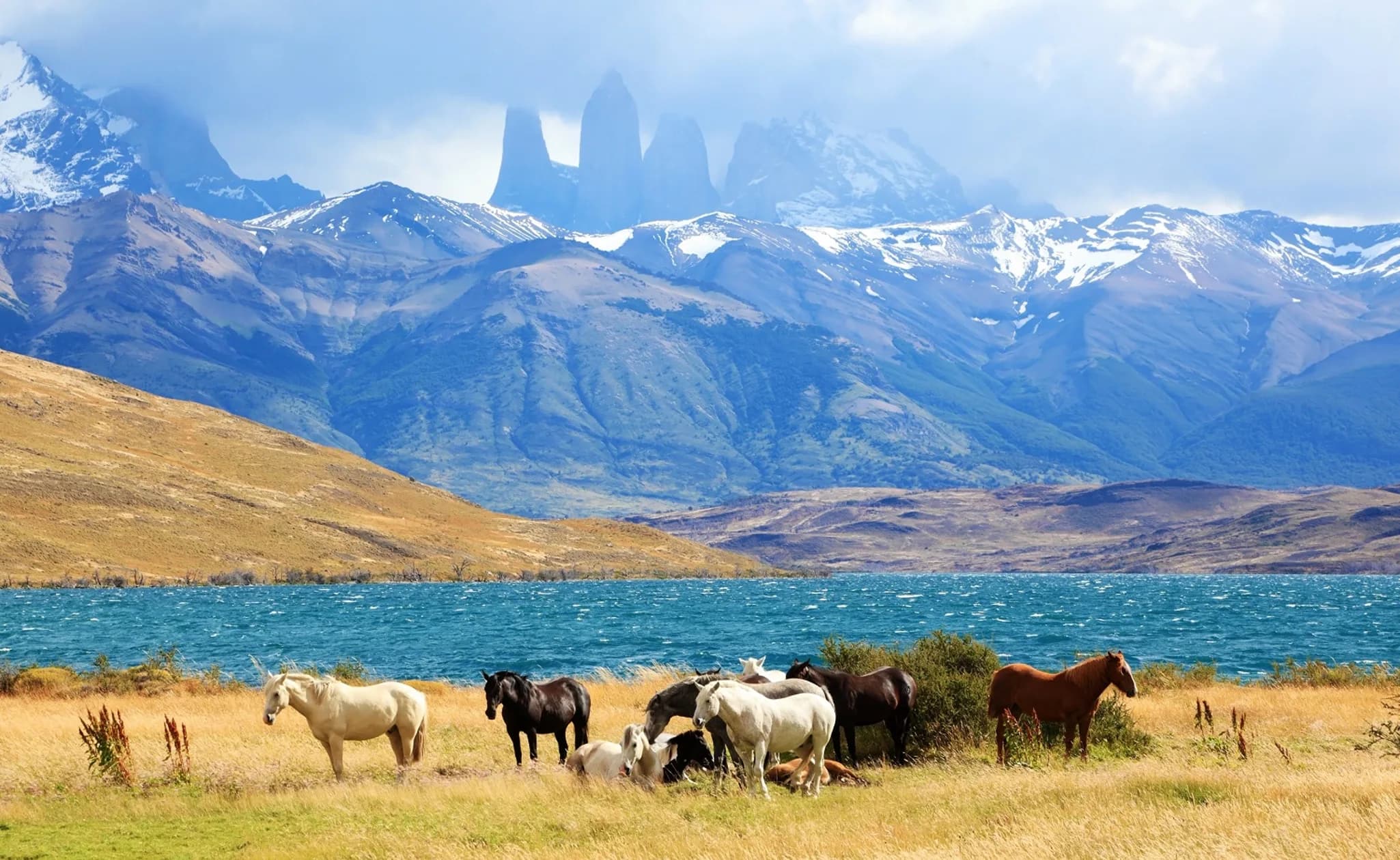 Torres del Paine, Patagonie